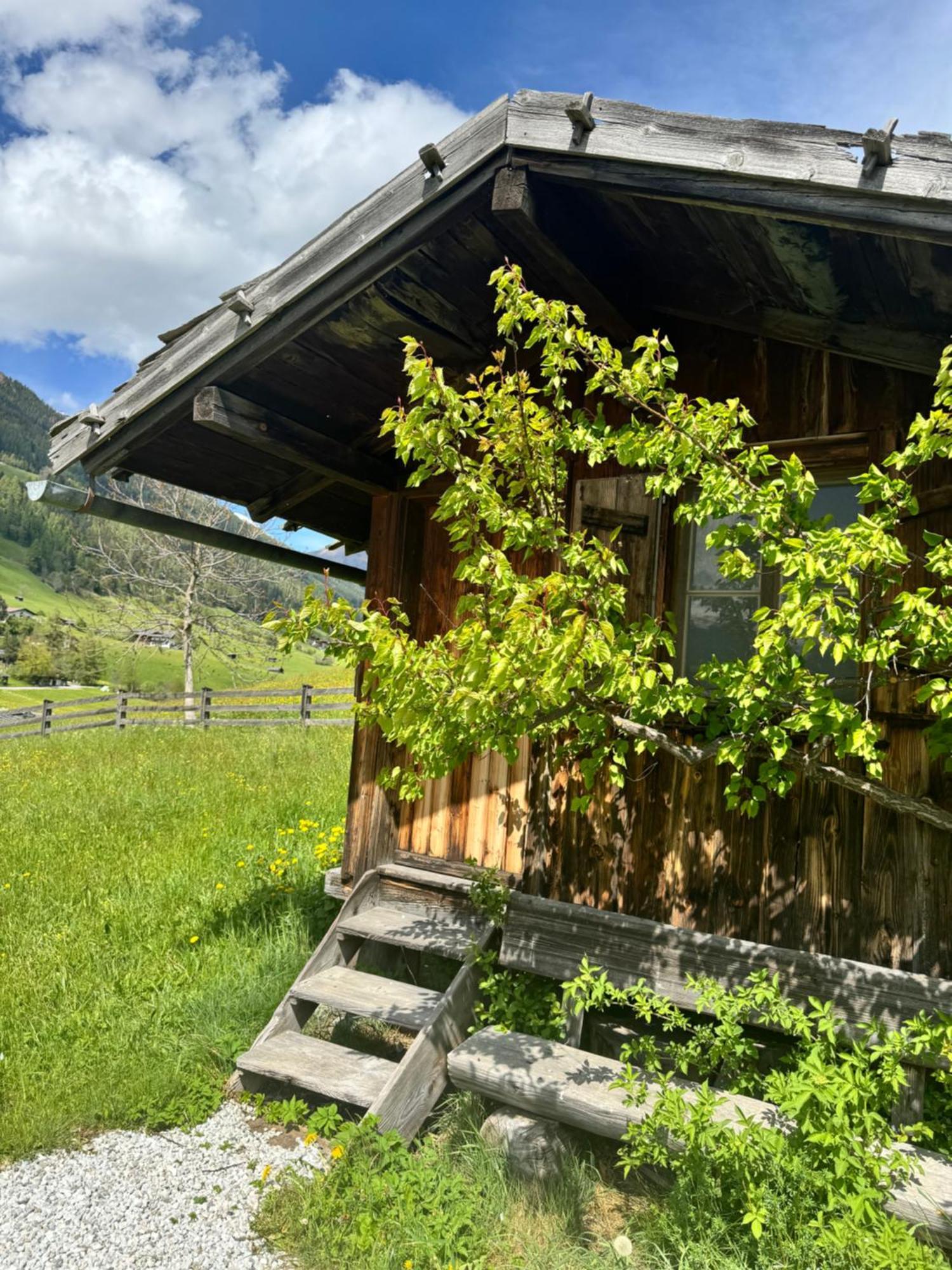 Haus Ilmer Neustift im Stubaital Exterior foto